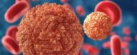 Zika virus.